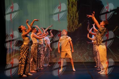 SHOW_00652.jpg